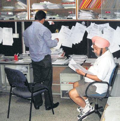 Cara guidelines et le jogging de Bhasin.