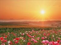 [Eric aux commandes] Eric au pays des merveilles