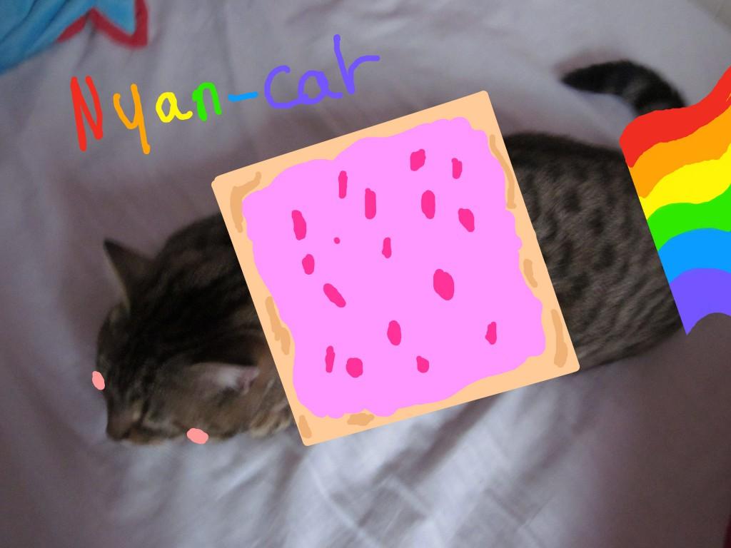 http://ludmila.illustrateur.org/files/2011/05/Nyan-cat-garfield-1024x768.jpg