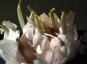 photos mois juin jour jour" (récap)