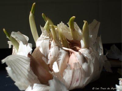 photos mois juin jour jour