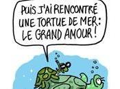 amoureuse tortues