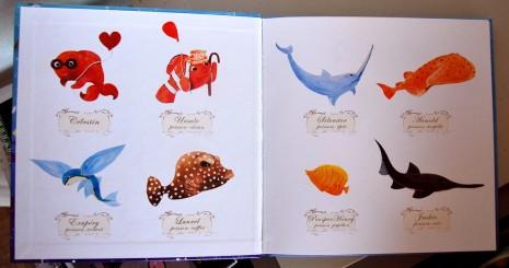 photo des poissons avec son prénom et son espèce