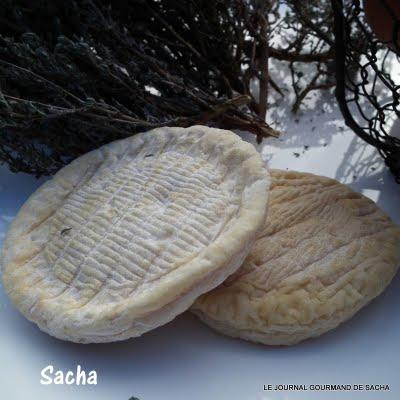 Omelette au thym et Banon sec