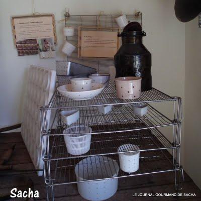 Omelette au thym et Banon sec