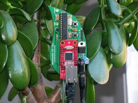 BotanicallsSparkfunKit_jade1_800