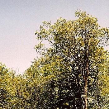 Spooky Campers : de nouveaux morceaux en écoute