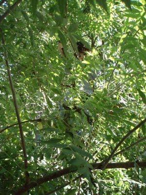 Nous sommes partis...