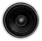 tenza : Nouvelle Égérie du Dancehall !