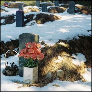 X is Y - Never Sever (2011)