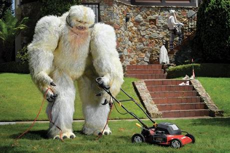 Good as... Collection Adidas- Star Wars