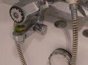 hôtes maison (suite)