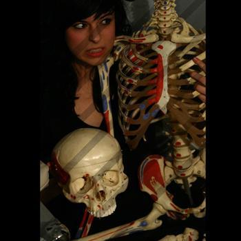 Dharma : Violitionist Sessions