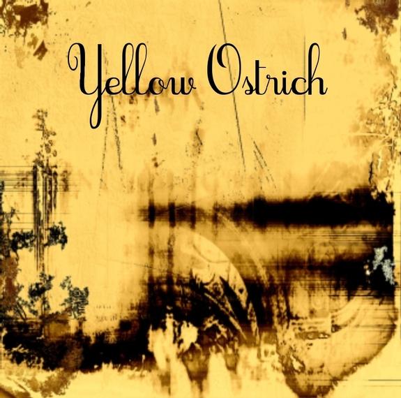 Yellow Ostrich – Hahahaohhoho