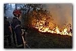 Incendies : nouvelle journée noire à Lacanau et Cestas