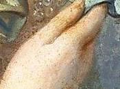 goût XVIIIe siècle très grande finesse.