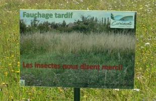 environnement,biodiversité,nature,abeille,jardin,produits chimiques