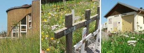 environnement,biodiversité,nature,abeille,jardin,produits chimiques