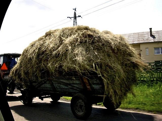 Un lundi parmi tant d'autres #34