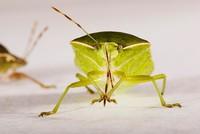 Tribune libre : Patrick Moll