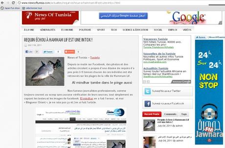 News of Tunisia requin tunisie