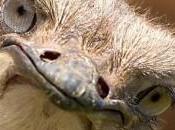 Triche salaires minimaux