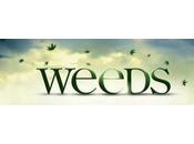 Weeds Bags" Season premiere)