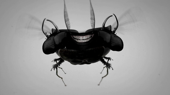 Video Animation by Henry Waltz - Johnny Fly