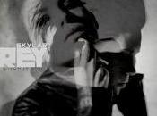 Skylar Grey Regardez premier clip ‘Dance Without You’