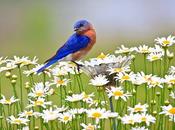 Continuer réflexion derniers jours