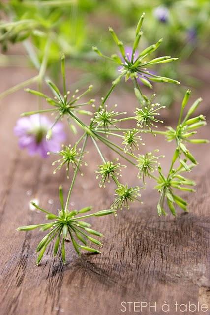 Gaspacho tomate - fraise et sa glace au pesto pour l'aperitif