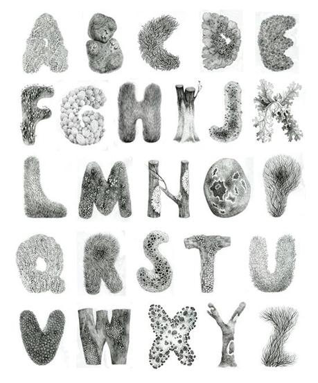 Typographie en Mousses et Lichens par Ooli Mos