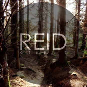 REID : pulsation irlandaise