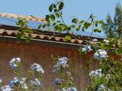 promenades peuvent nous réserver surprises journal juillet 2011