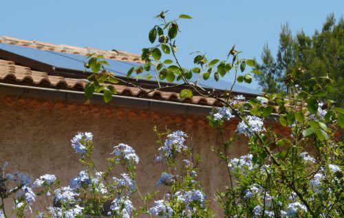 Les promenades peuvent nous réserver des surprises : journal du 8 juillet 2011