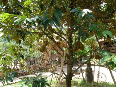 127.Le charme calme de Kep-sur-Mer