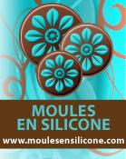 Ouverture du blog et de la boutique moulesensilicone.com  !