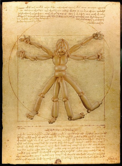 L'homme de Vitruve, Leonard de Vinci L'homme de Vitruve, Leonard de Vinci