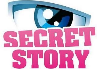 Secret Story 5 : les secrets, les candidats, l'émission, mon point de vue...