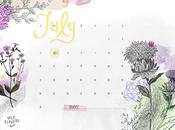 July calendar download!