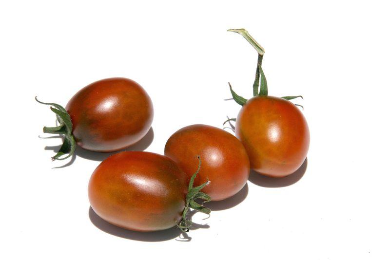 Tomato prune noire tomate