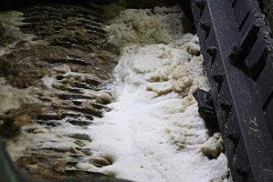 damoiseau-gardel 198