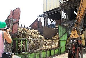 damoiseau-gardel 157