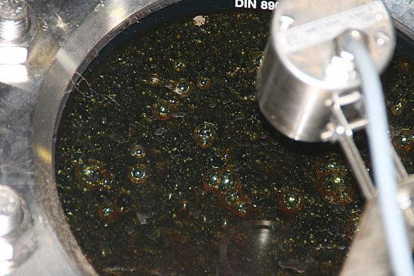 damoiseau-gardel 223