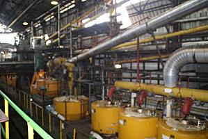 damoiseau-gardel 226