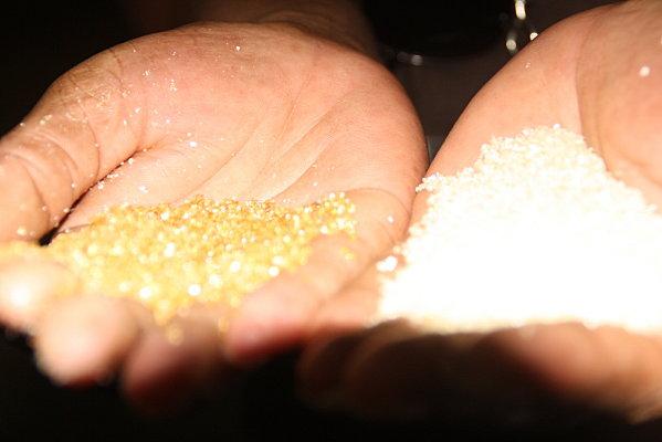 damoiseau-gardel 236