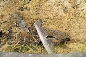 damoiseau-gardel 188