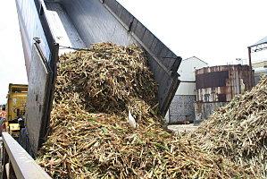 damoiseau-gardel 172