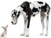 qualité commence avec petit