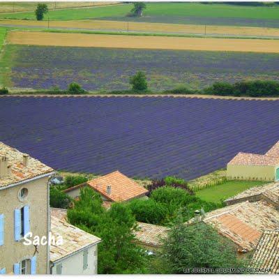 Le vin de noix    ;   Simiane -la- Rotonde  Haute Provence